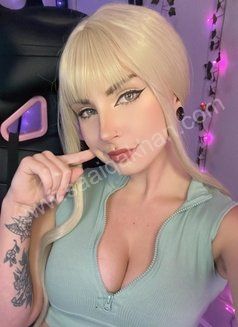 Thaltej Escort